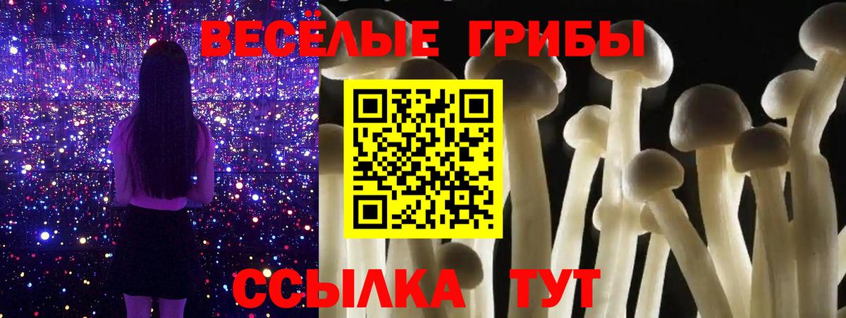 Галлюциногенные грибы Psilocybine cubensis Кинель